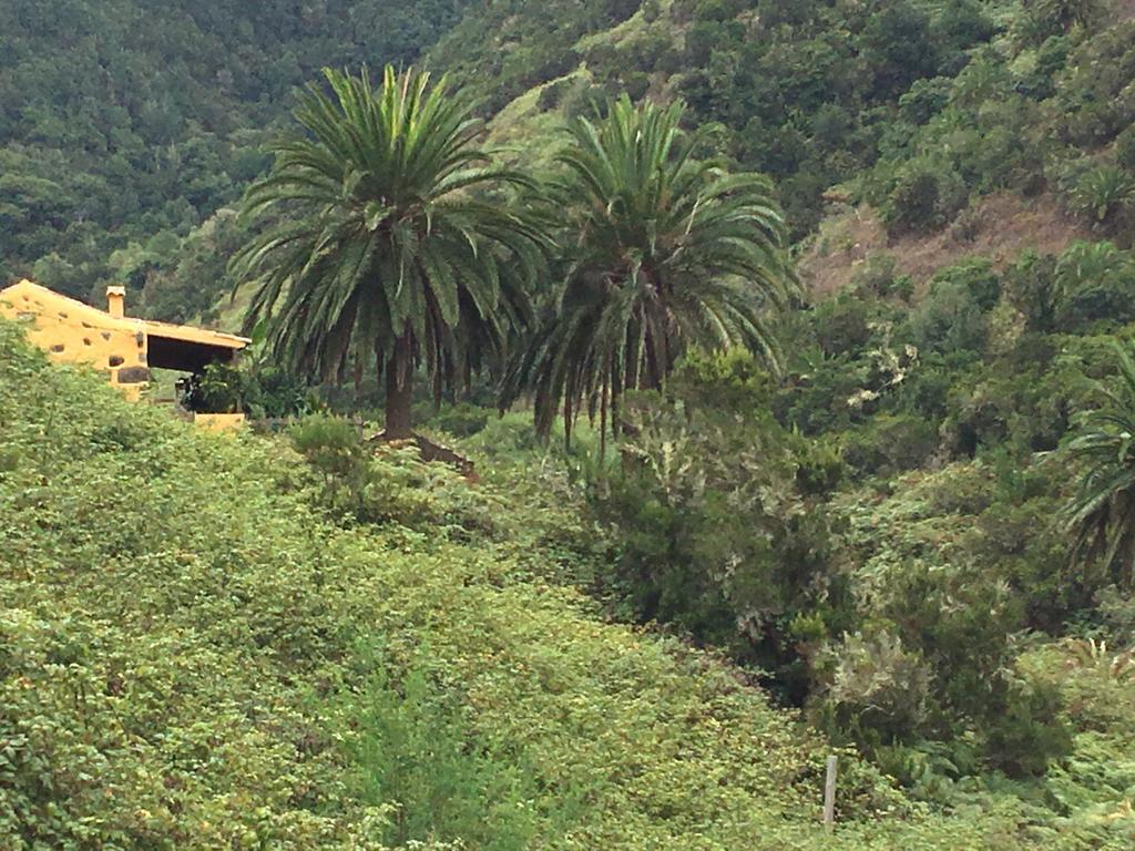 Casa Rural El Rincon De Antonia Agulo Exterior foto