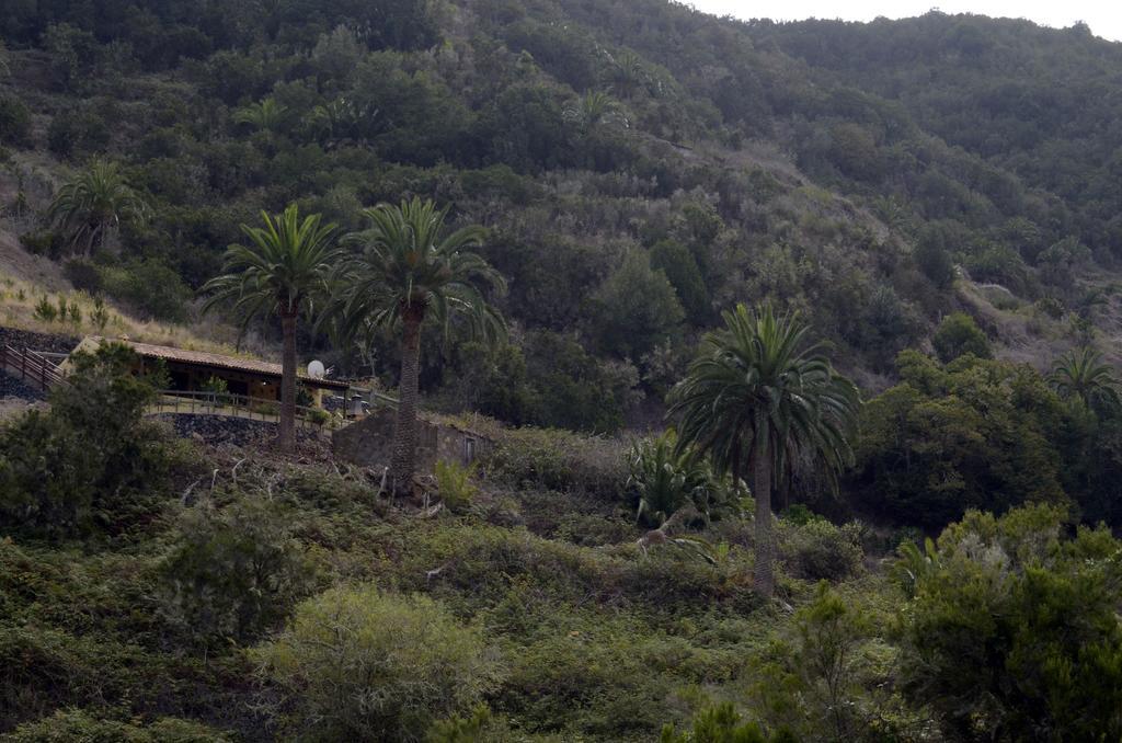 Casa Rural El Rincon De Antonia Agulo Exterior foto
